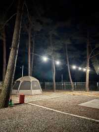 별이 쏟아지는 밤, 홍천 용오름에서 감성 캠핑 🏕️