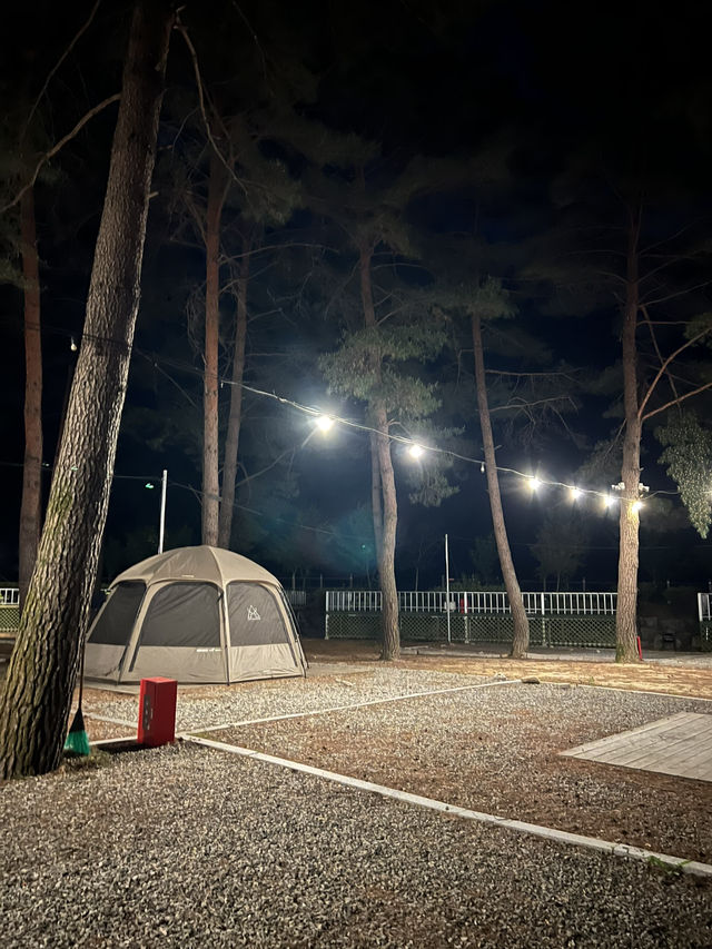 별이 쏟아지는 밤, 홍천 용오름에서 감성 캠핑 🏕️