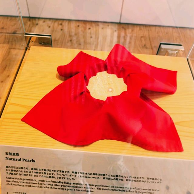 大阪世博會熱門館巴林館參觀遊覽攻略，最環保展館