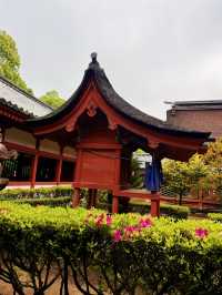 松山｜日本三大八幡造建築 伊佐爾波神社的「必中」傳說