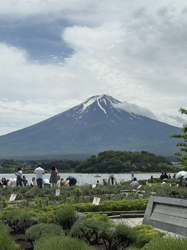 ขับรถเที่ยวฟูจิ ครั้งแรก 🇯🇵🗻
