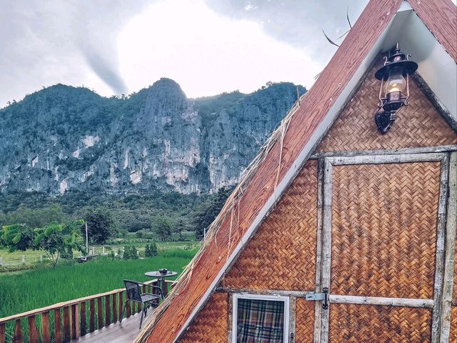 🌾 นอนฟิน กินหมูกระทะ กลางทุ่งนาเขียว 🍃