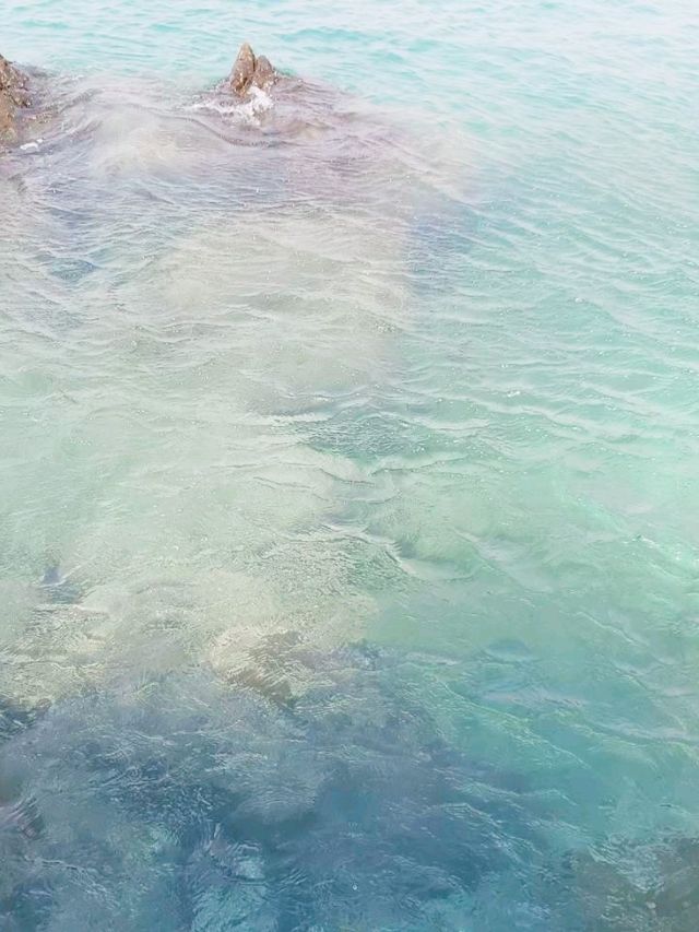 🏝️ เกาะขาม ชลบุรี – น้ำใสไล่เฉด ฟีลมัลดีฟส์เบาๆ