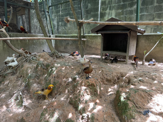 Farm In The City KL – A Fun and Hands-On Experience for the Whole Family