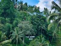 Our Perfect 5D4N Bali Getaway – Ubud, Nusa Penida & Seminyak Highlights🏝🛖✨️