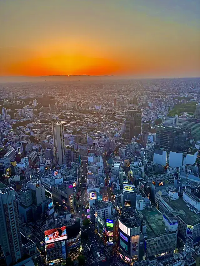 โอซาก้า🇯🇵