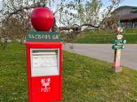 🍎 Apple Wonderland in Hirosaki – A Family Delight!