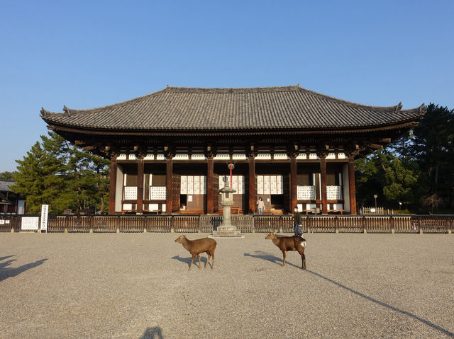 🛕 Peace and Presence at Kōfuku-ji, Nara