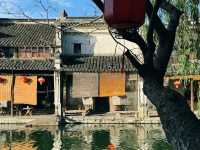 Nanxun Ancient Town: A Summer Dream of Water and Serenity 🛶🌸