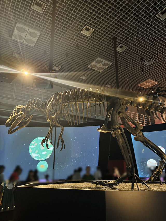 上野🇯🇵国立科学博物館は一日中楽しめるʘʘ⟡.·