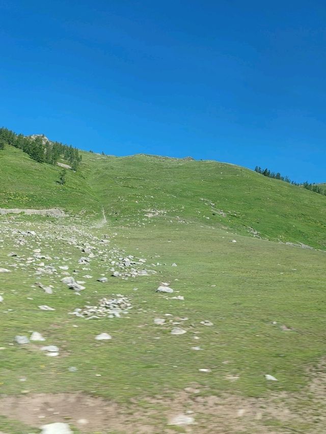 布尔津-喀纳斯-贾登峪