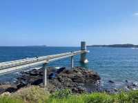 【海と空のパノラマ✨】玄界灘展望台で心を洗う絶景旅