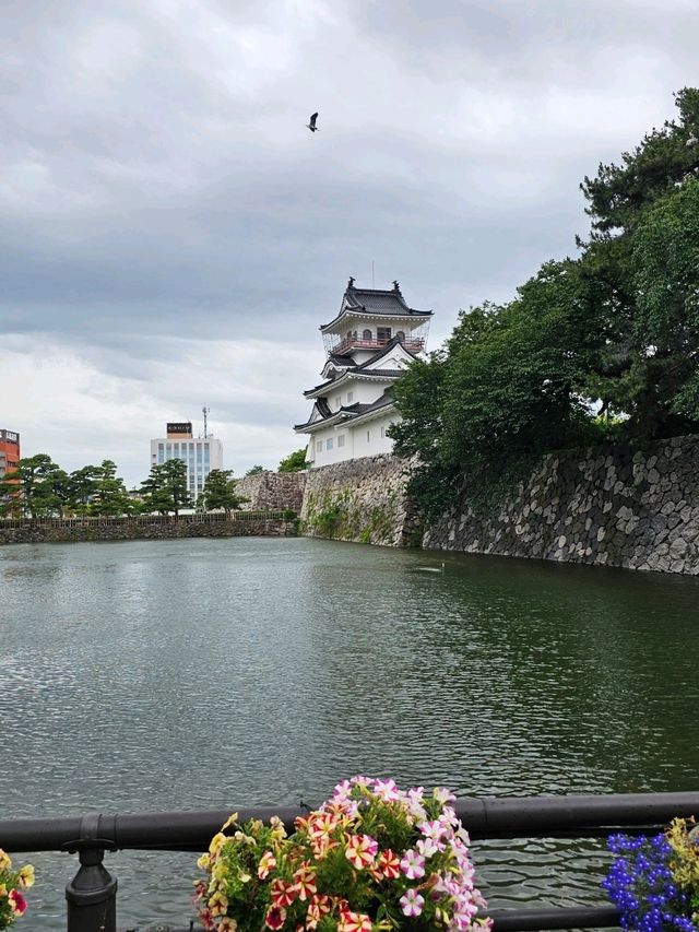 富山市鄉土博物館〔富山城〕，走入城郭中的歷史長廊🏯📜