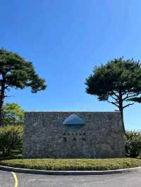 Art, Mountains & Zen Vibes at Museum SAN 