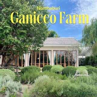 cafe nonthaburi ไทรม้า นนทบุรี ｡⁺◟🧋 ✿  