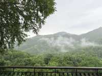First Valley Coffee Estate – กาแฟดี วิวหลักล้าน