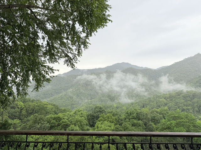 First Valley Coffee Estate – กาแฟดี วิวหลักล้าน