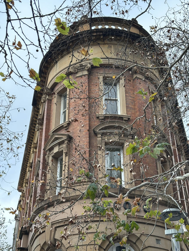 스투시도 보고