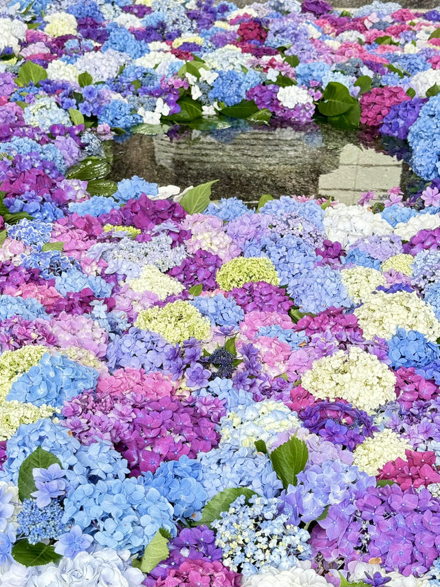 ⸝⸝  다자이후 텐만구에서 만난 일본 전통과 감성