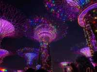 Garden by the Bay Lightshow 