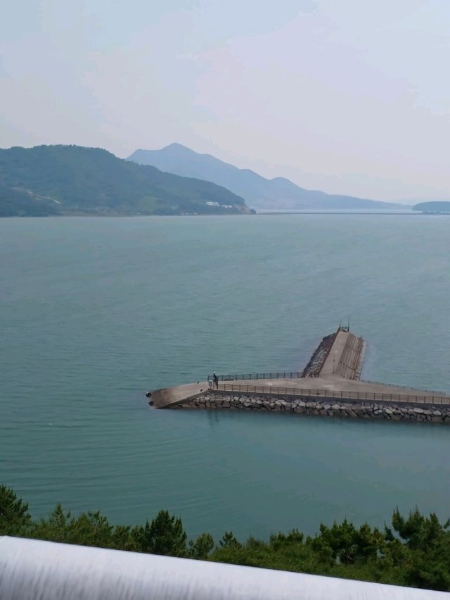 산책에 딱!