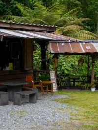 บ้านไร่อุดมโฮมสเตย์coffee@เชียงใหม่