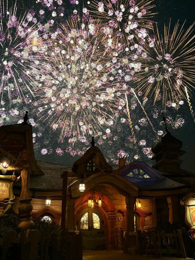 Everyone Loves Shanghai Disneyland