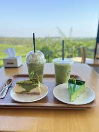 ไร่ชาฉุยฟง  บรรยกาศดีมาก จังหวุดเชียงราย