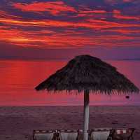 Sea of Love Pattaya – ริมทะเลก็หวานได้ 