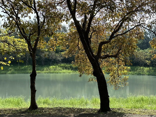 台東森林公園