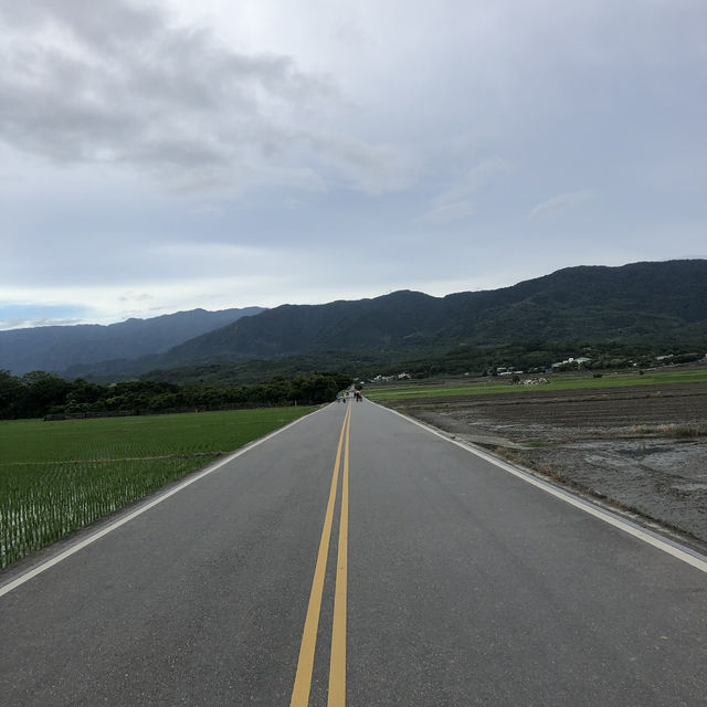 台東池上伯朗大道