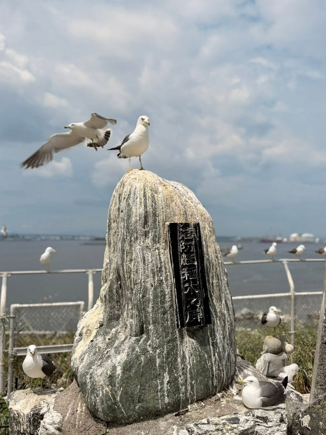 Kabushima Shrine: Where 30,000 Wild Gulls Become Sacred Messengers