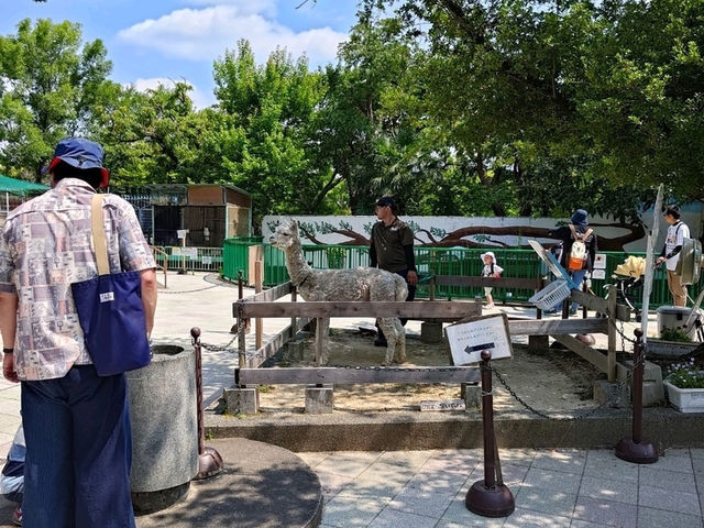 和歌山景點｜和歌山城腳下的親子動物園—和歌山城公園動物