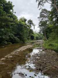 Huai Kha Kang Wildlife Sanctuary