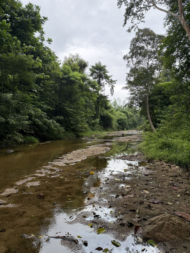 Huai Kha Kang Wildlife Sanctuary