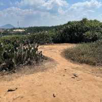 Bai Xep Beach (Phu Yen)