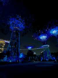 Neon Trees, Gardens by the Bay at Night