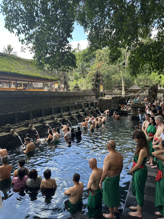 🇮🇩Finding Peace at Bali’s Holy Spring Temple🪷