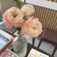 มัทฉะลับเปิดใหม่ชลบุรี