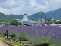  Reflections of Fuji: A Gentle Escape to Lake Kawaguchiko