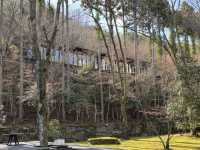 🌲京都・鷹峯｜アマン京都で過ごす、森と禅に包まれるひととき🧘‍♀️