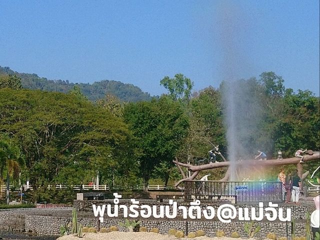 เที่ยว..น้ำพุร้อนป่าตึง