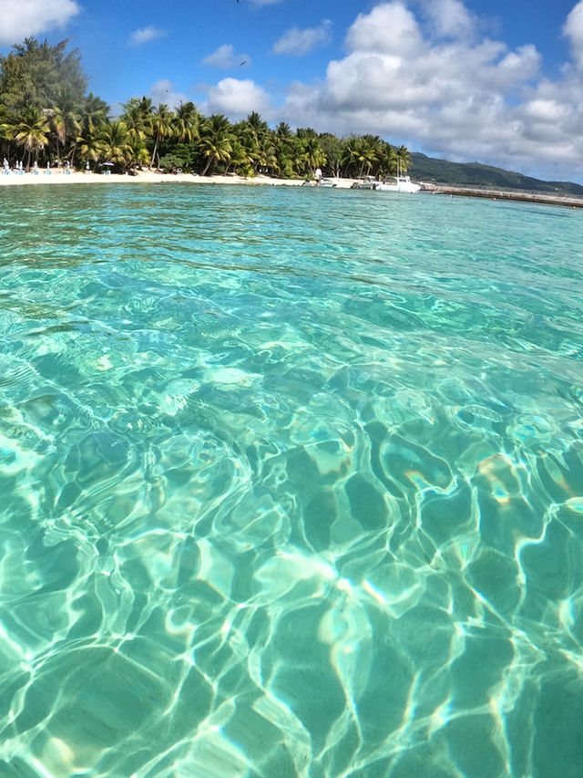 【サイパン】マニャガハ島の魅力🏝️✨✨