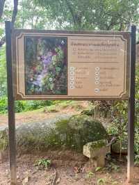  ลานกางเต็นท์ดอยขุนตาล จ.ลำพูน จ.ลำปาง