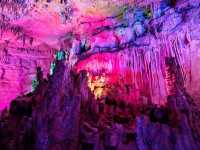 Caves & Forest Vibes