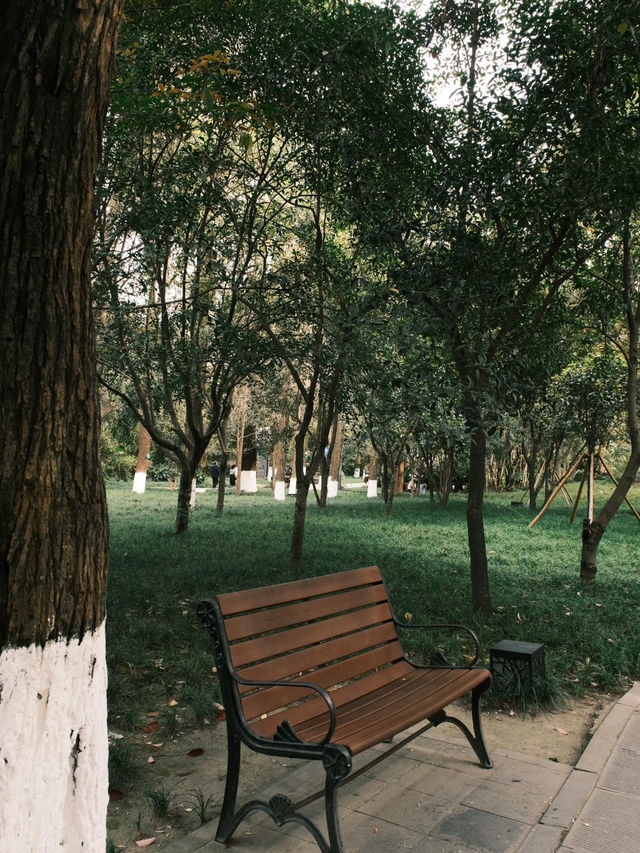 Baihuatan Park 🌳 