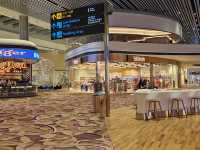 I visited the best airport in the world, Changi Airport