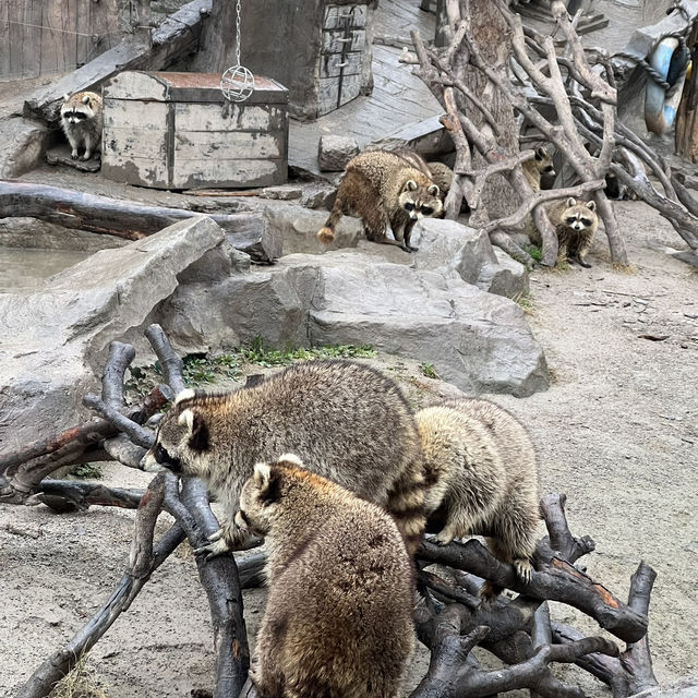 Shanghai Wild Animal Park