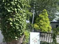 Cafe Forest J