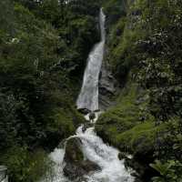 Off the Beaten Path in Cona County And Totally Worth It